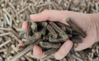 一斤木屑顆粒燃料能燒多長時間
