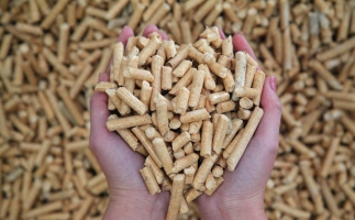 天干物燥，購買木屑顆粒機生產木屑顆粒燃料的廠家需防范的安全隱患