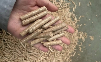 木屑顆粒機廠家教您如何選擇合適的生物質顆粒燃料